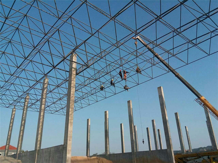 巴彦淖尔加气站钢结构网架案例10